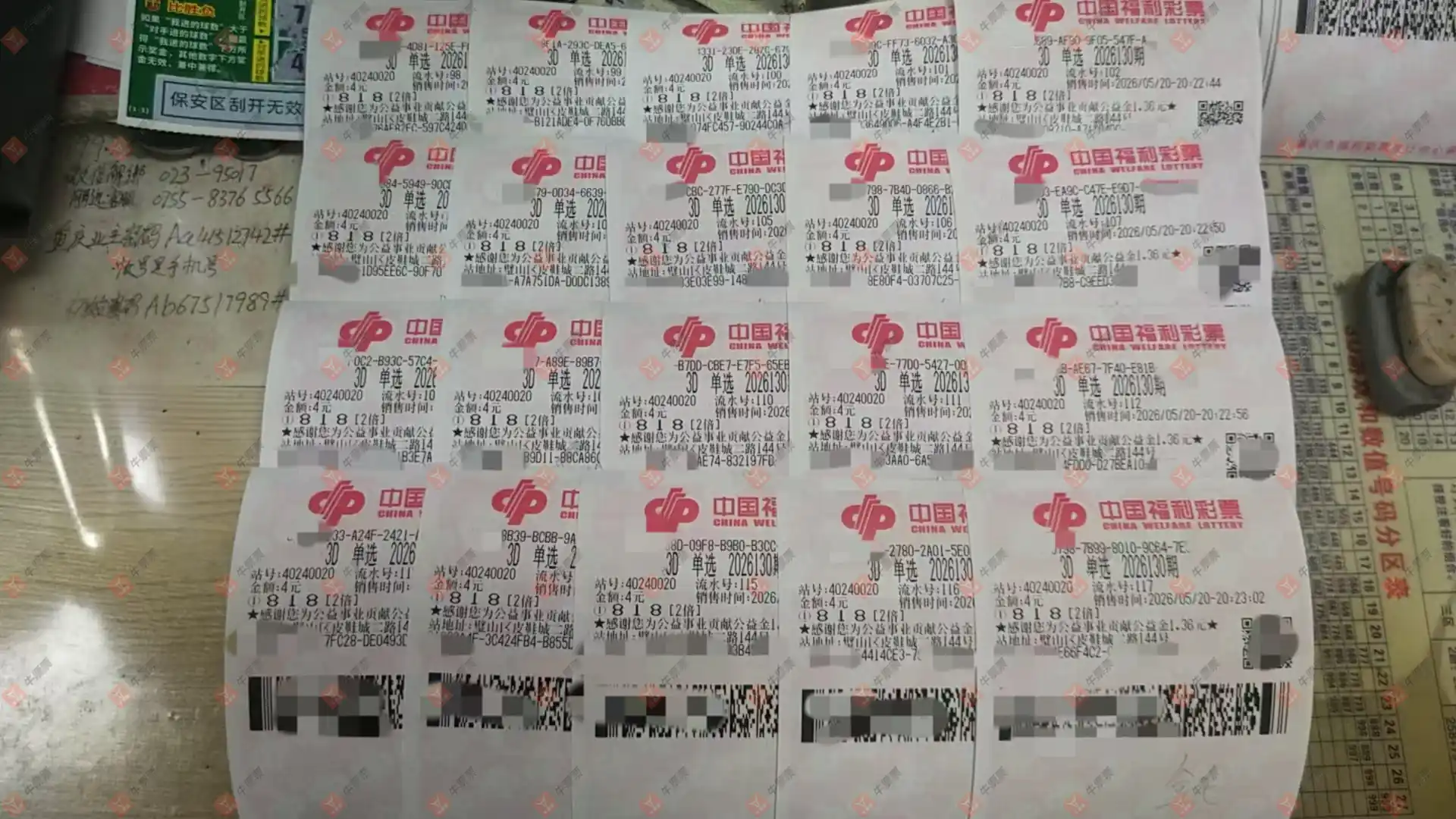 牛票票