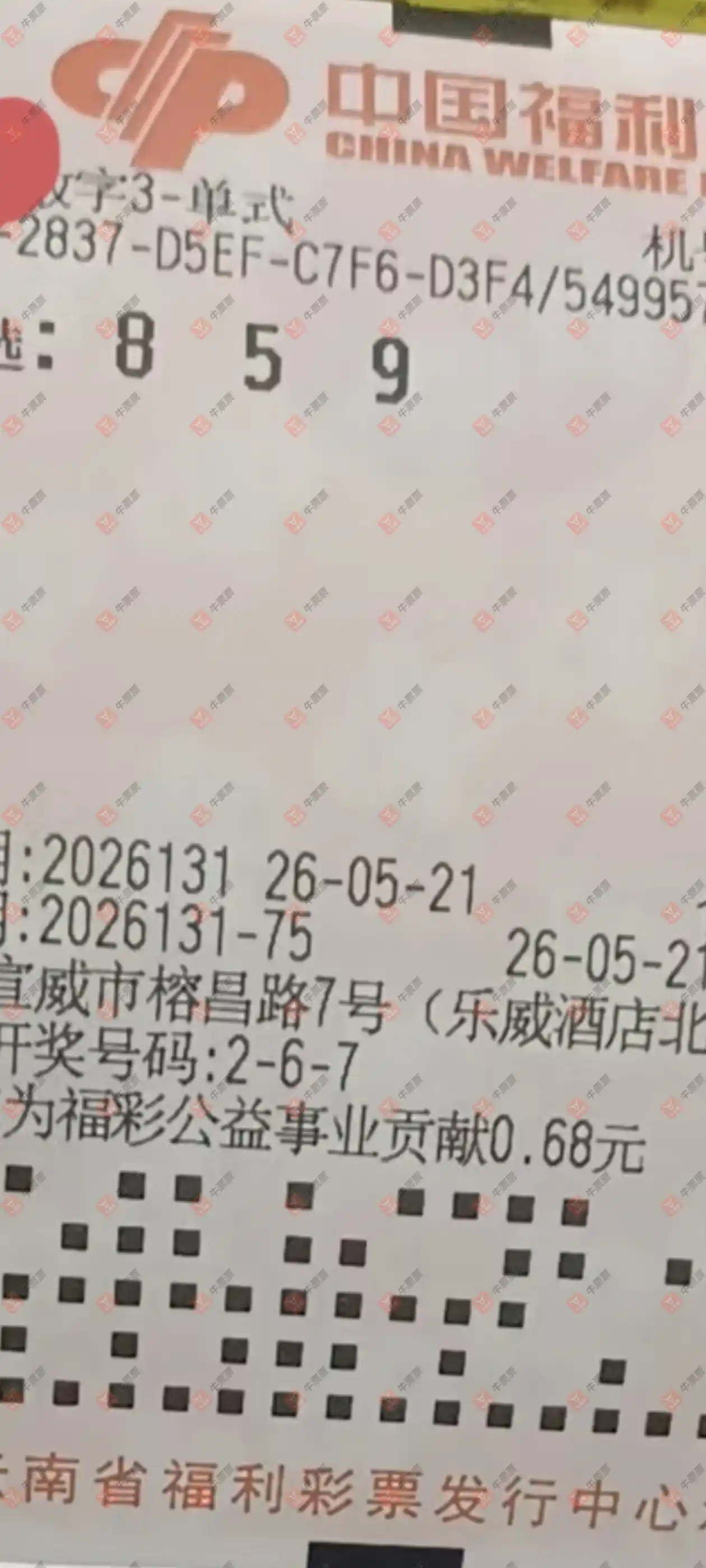 牛票票