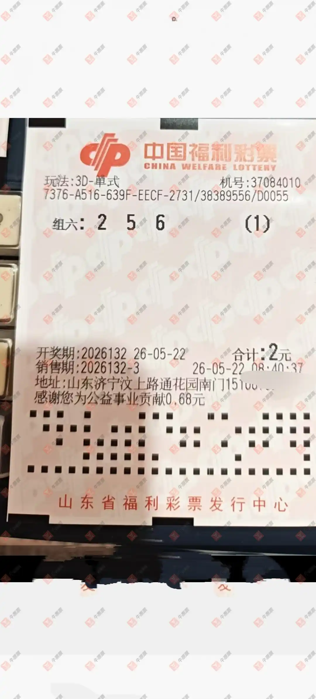 牛票票
