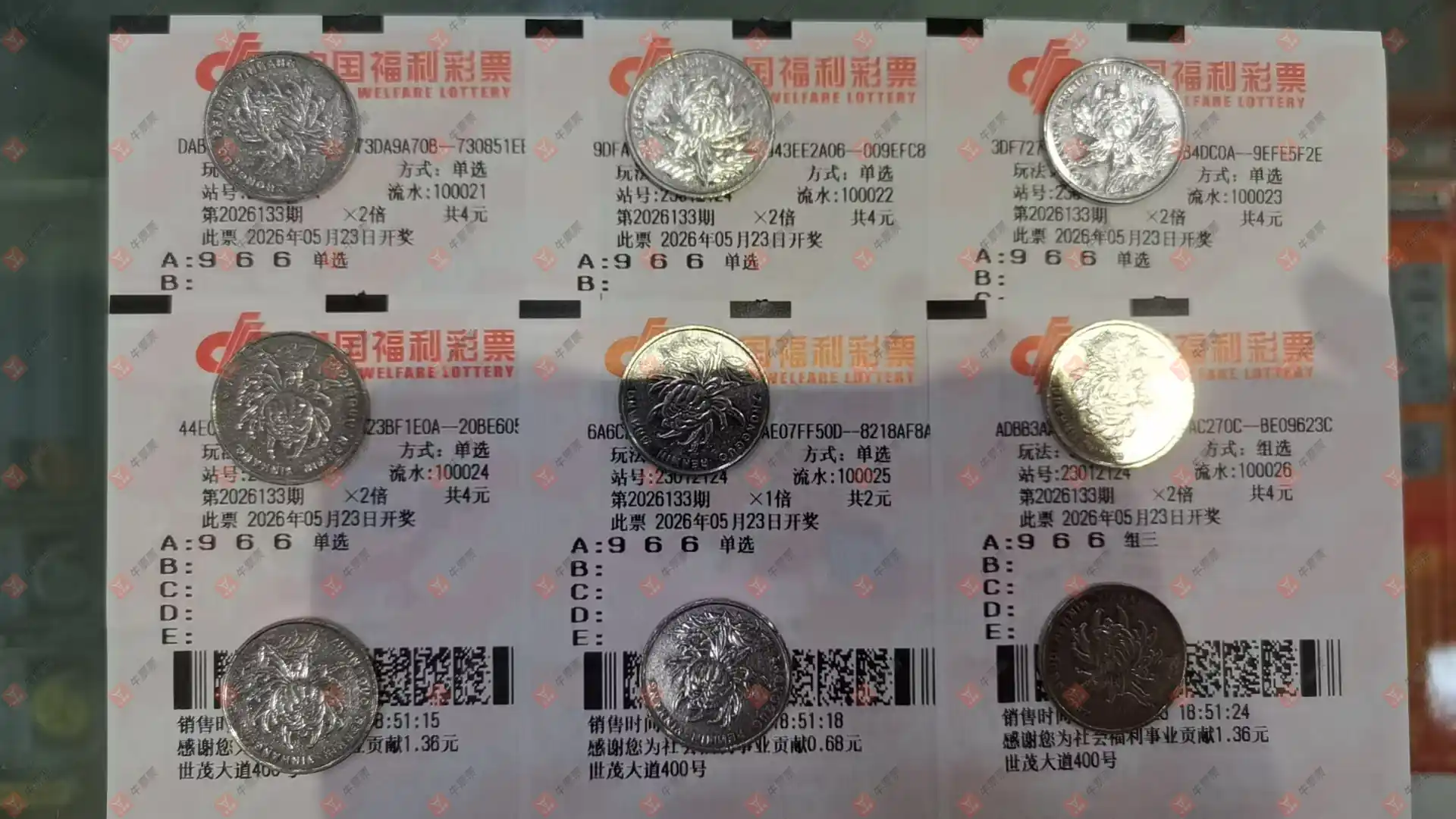 牛票票