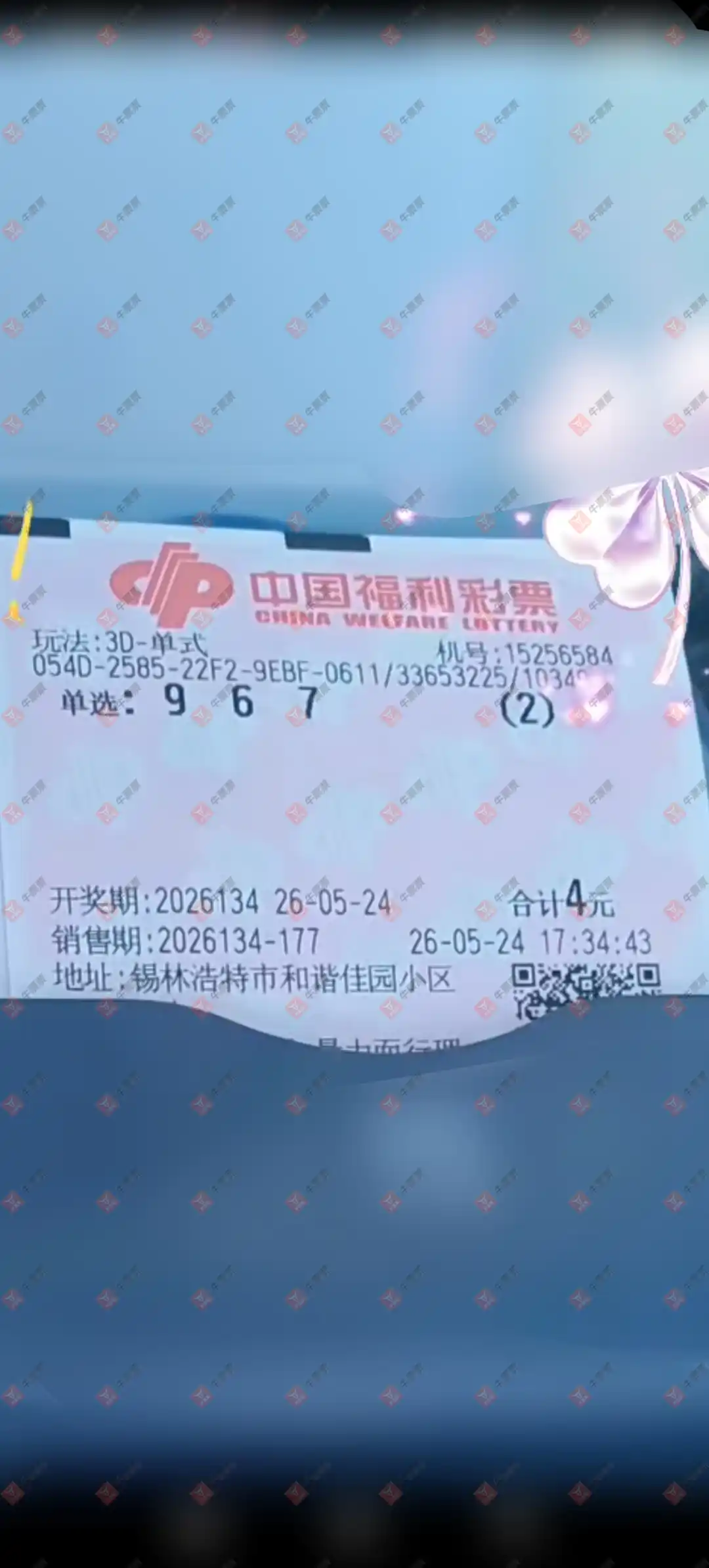 牛票票