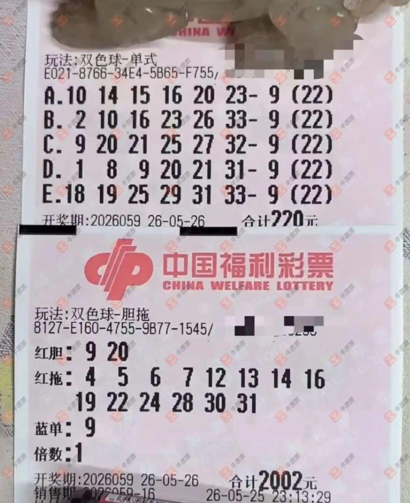 牛票票
