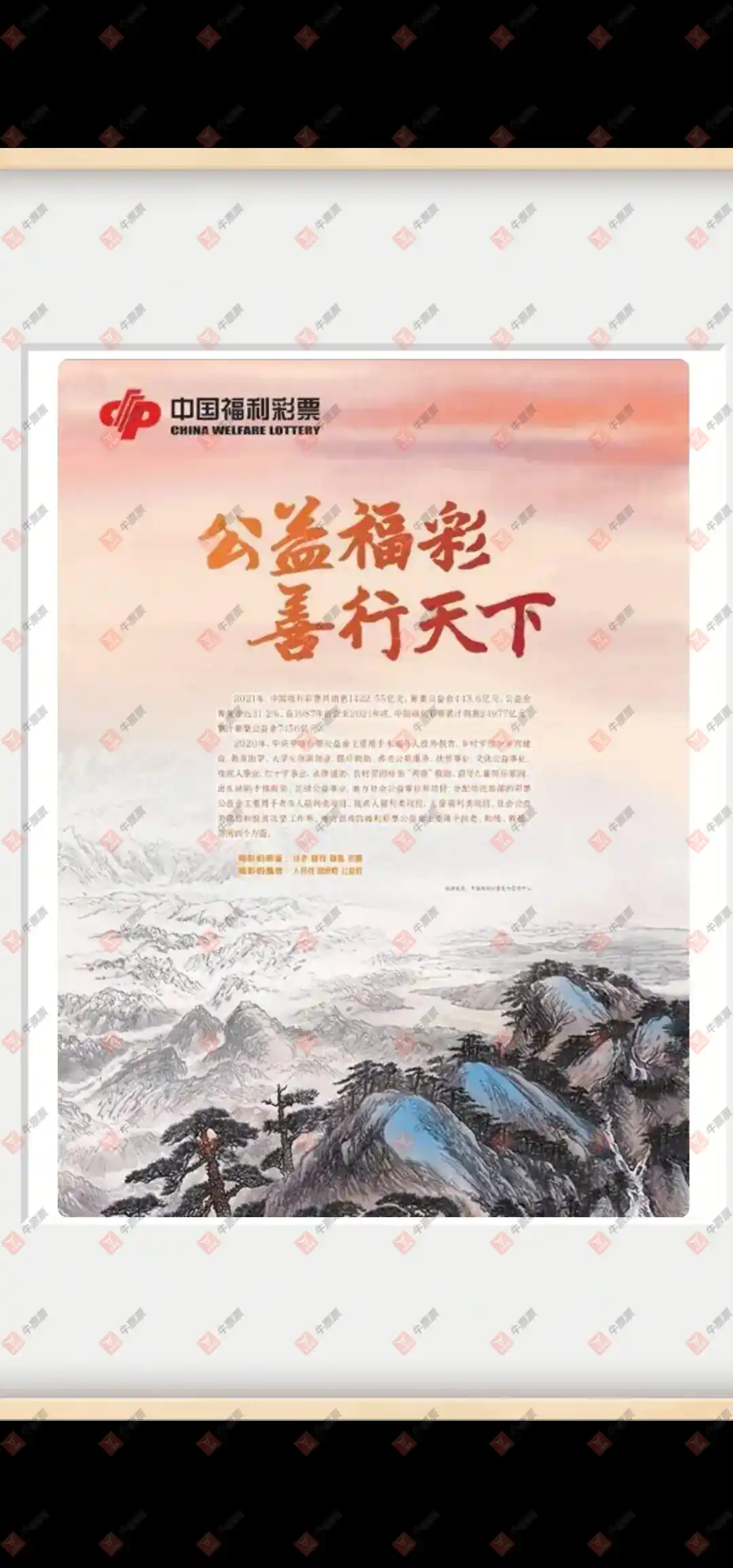 牛票票