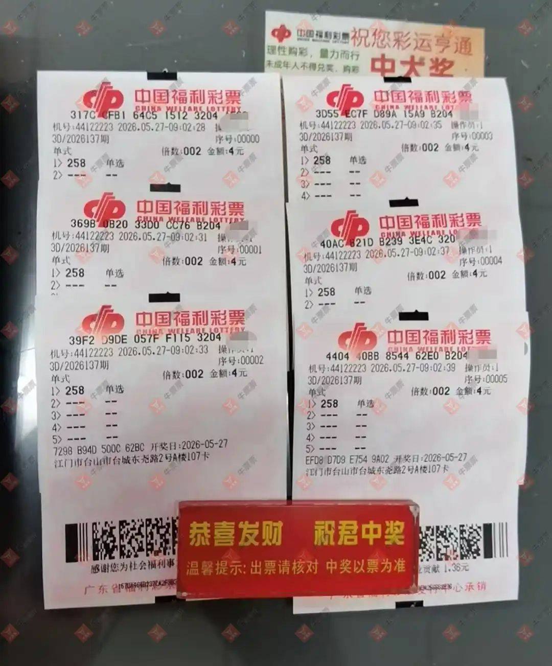 牛票票