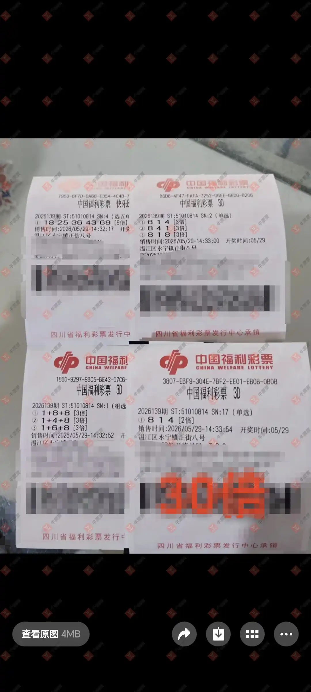牛票票