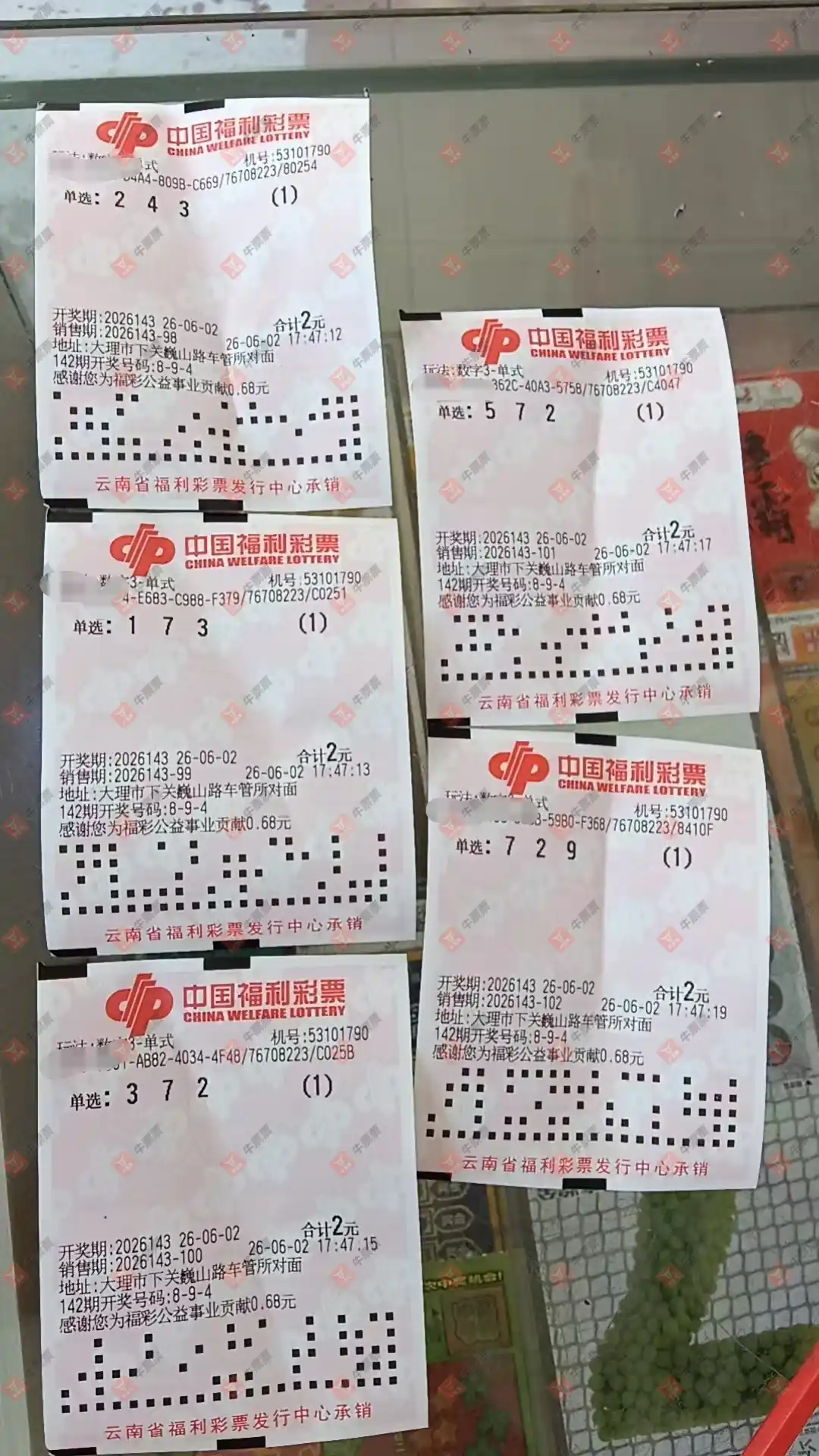 牛票票