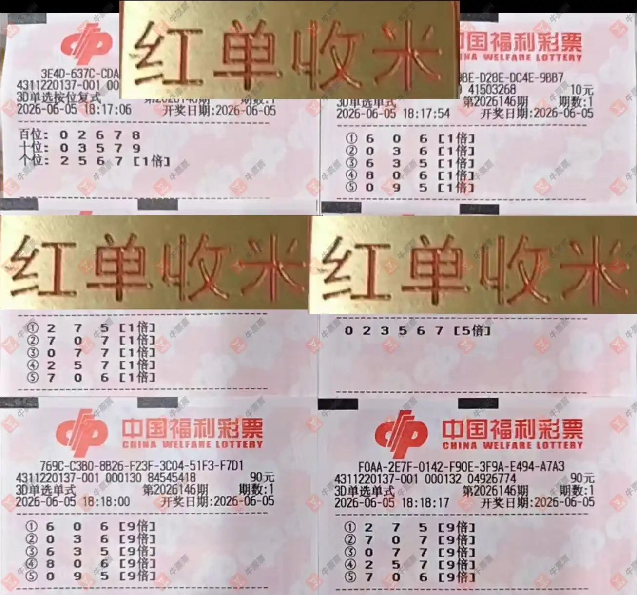 牛票票