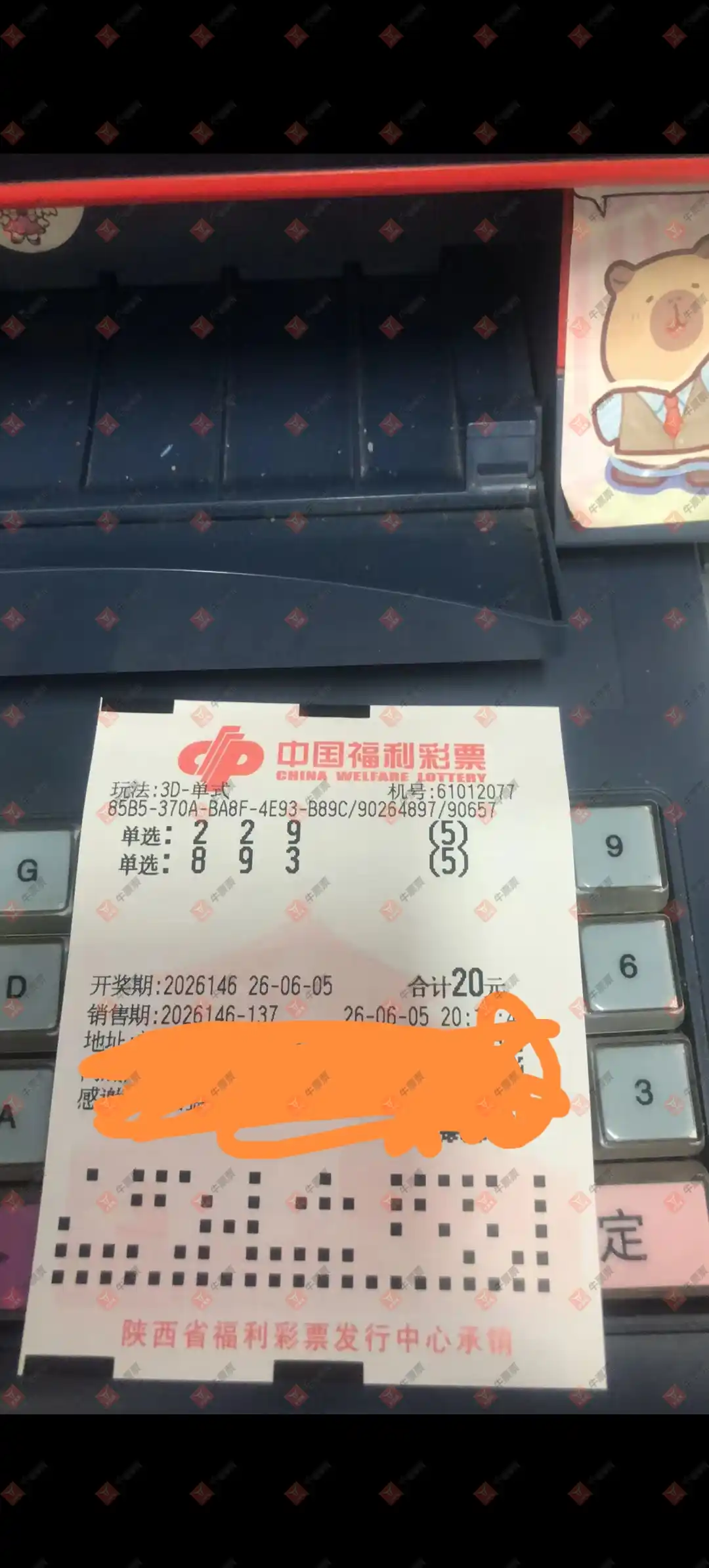 牛票票