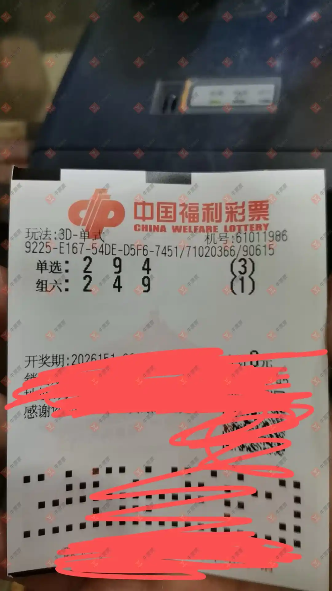 牛票票