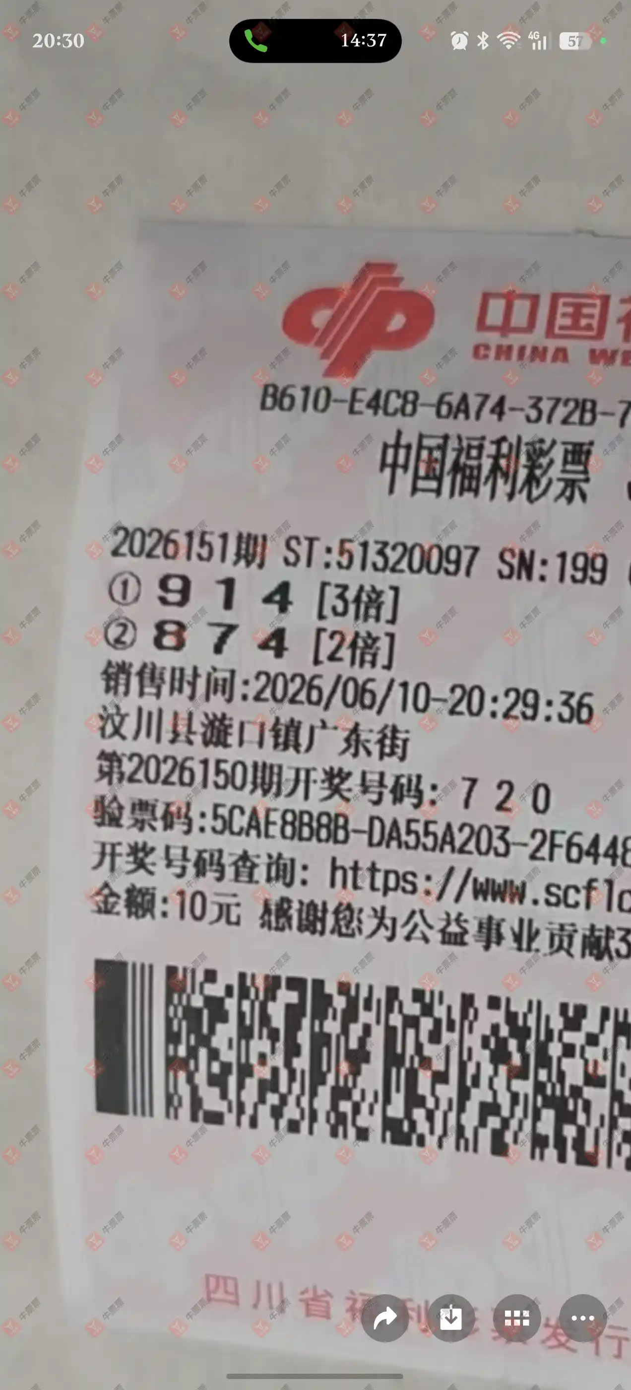 牛票票