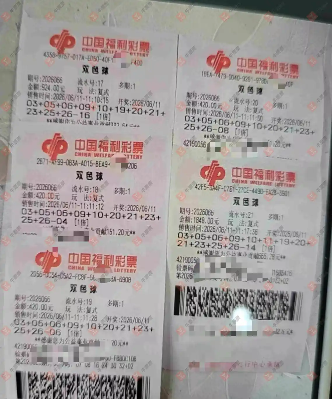 牛票票