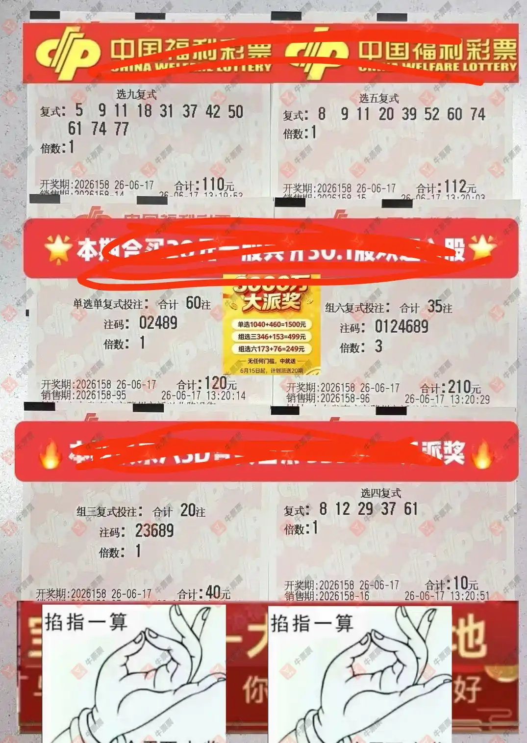 牛票票