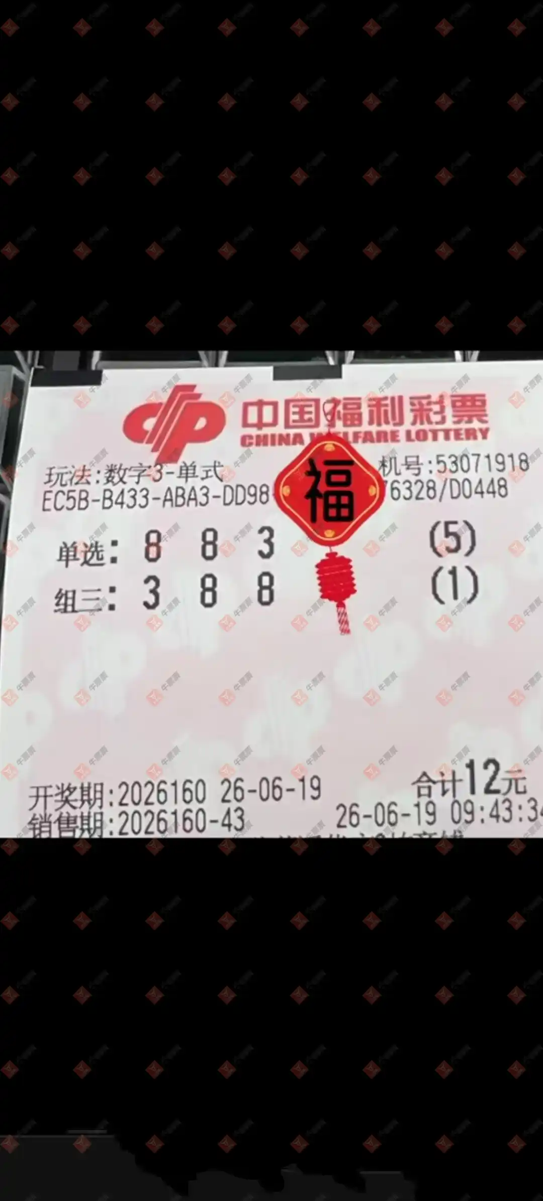 牛票票