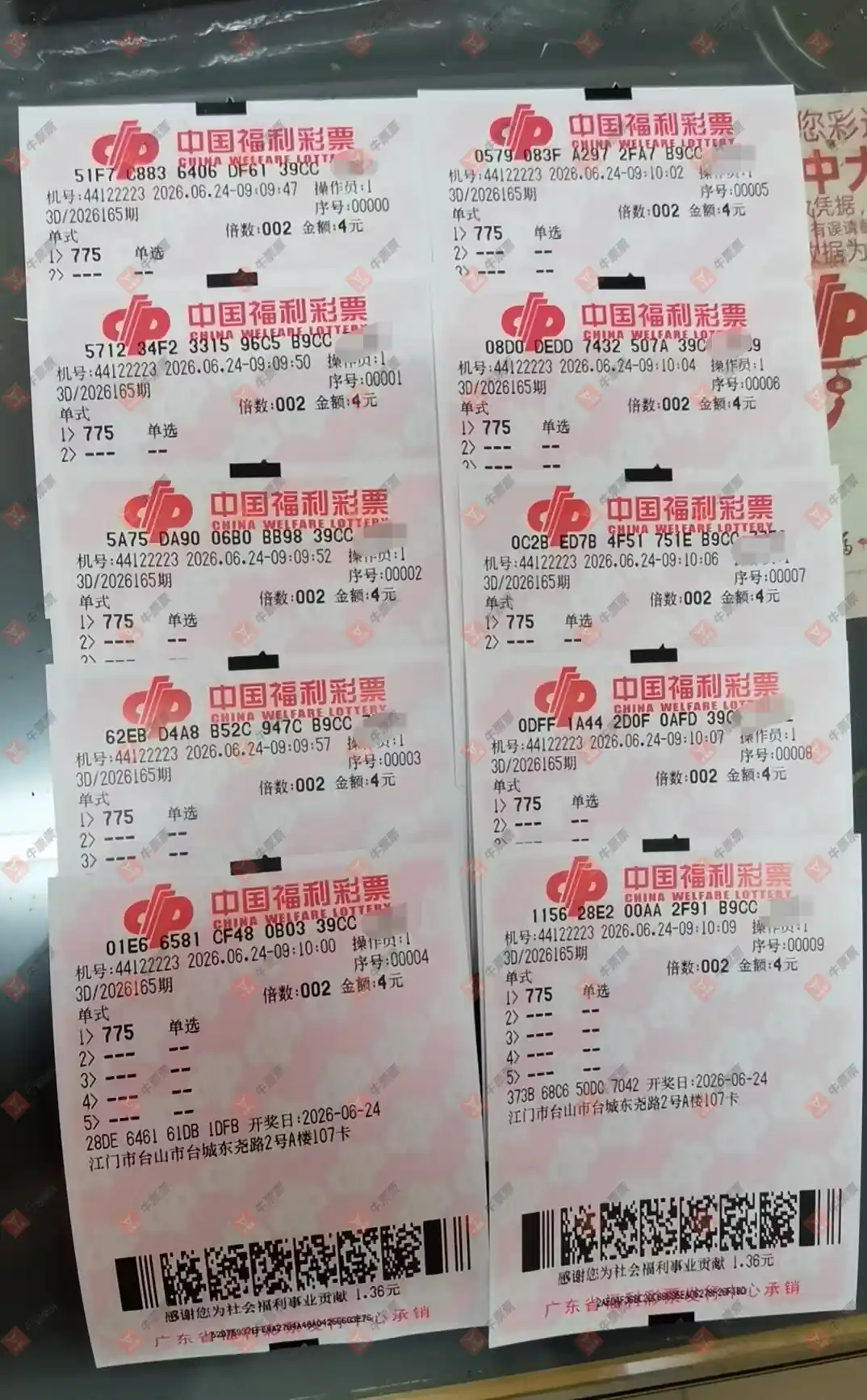 牛票票