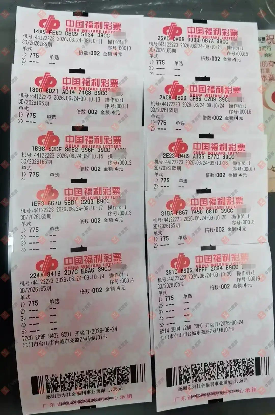 牛票票