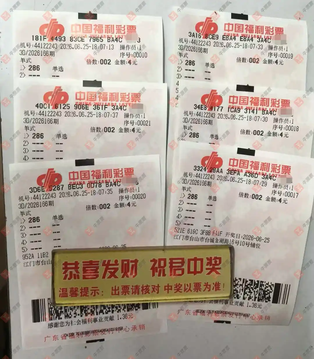 牛票票