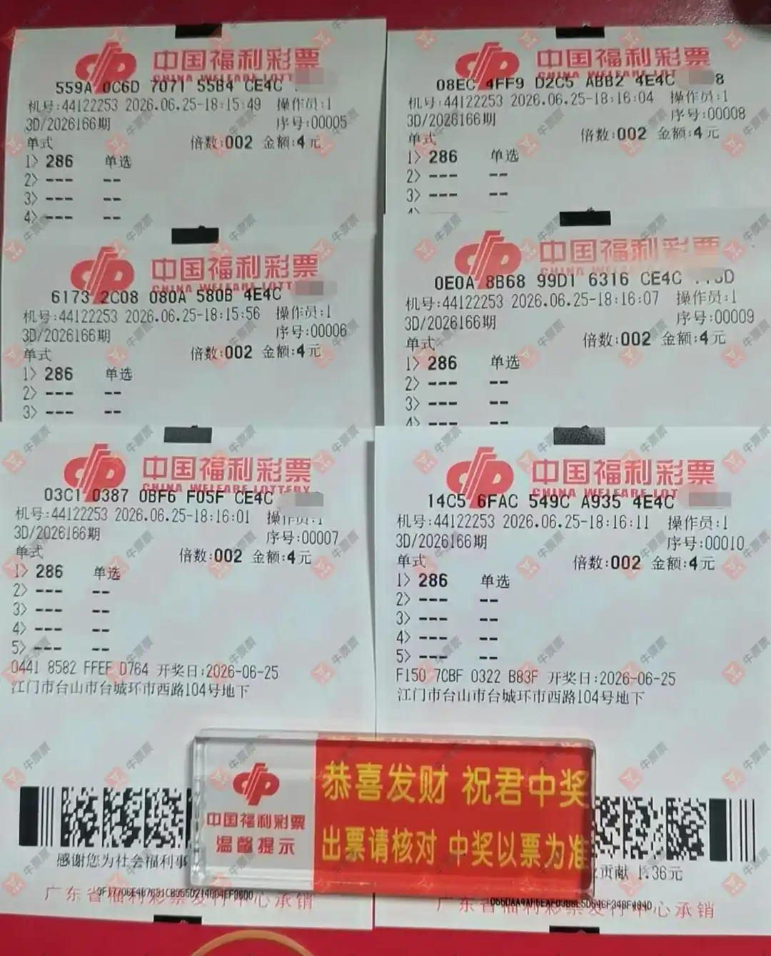 牛票票
