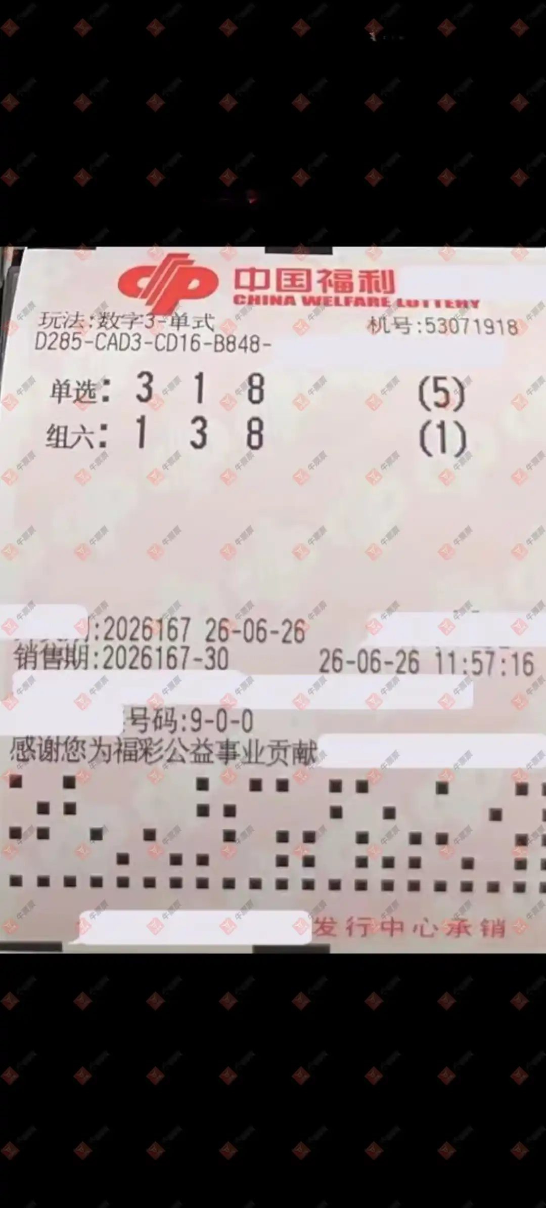 牛票票