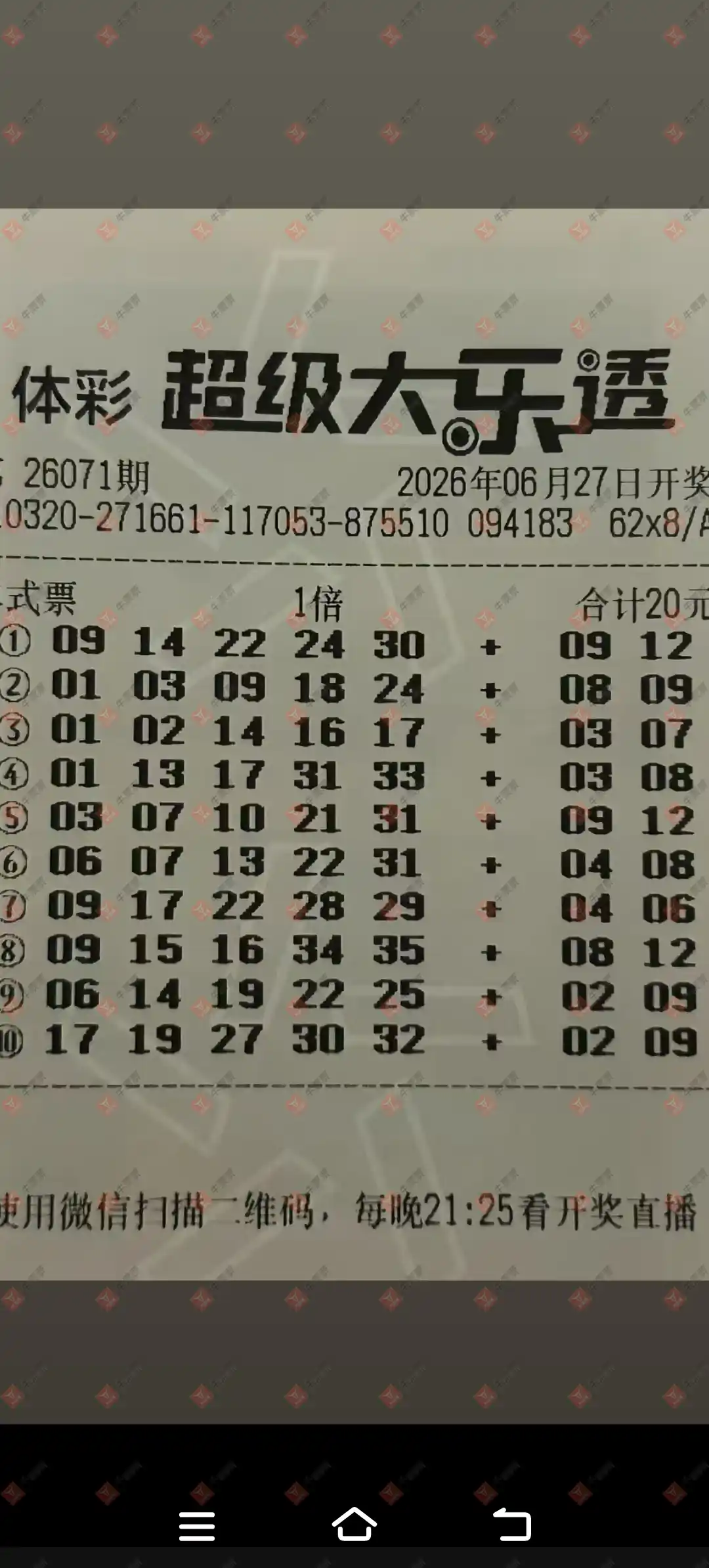 牛票票
