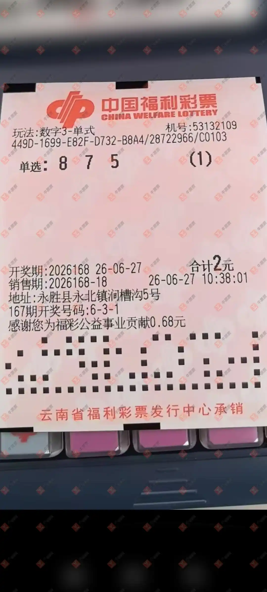 牛票票